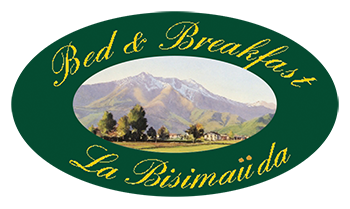 logo La Bisimauda